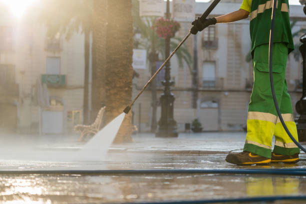 Best Pre-Holiday Cleaning  in Sandoval, IL